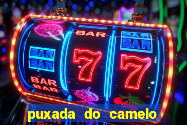 puxada do camelo no jogo do bicho